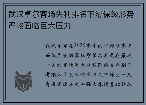 武汉卓尔客场失利排名下滑保级形势严峻面临巨大压力