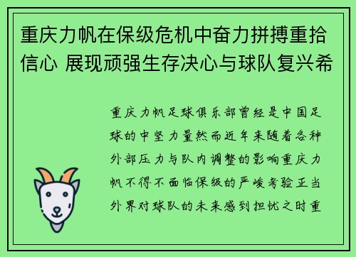 重庆力帆在保级危机中奋力拼搏重拾信心 展现顽强生存决心与球队复兴希望
