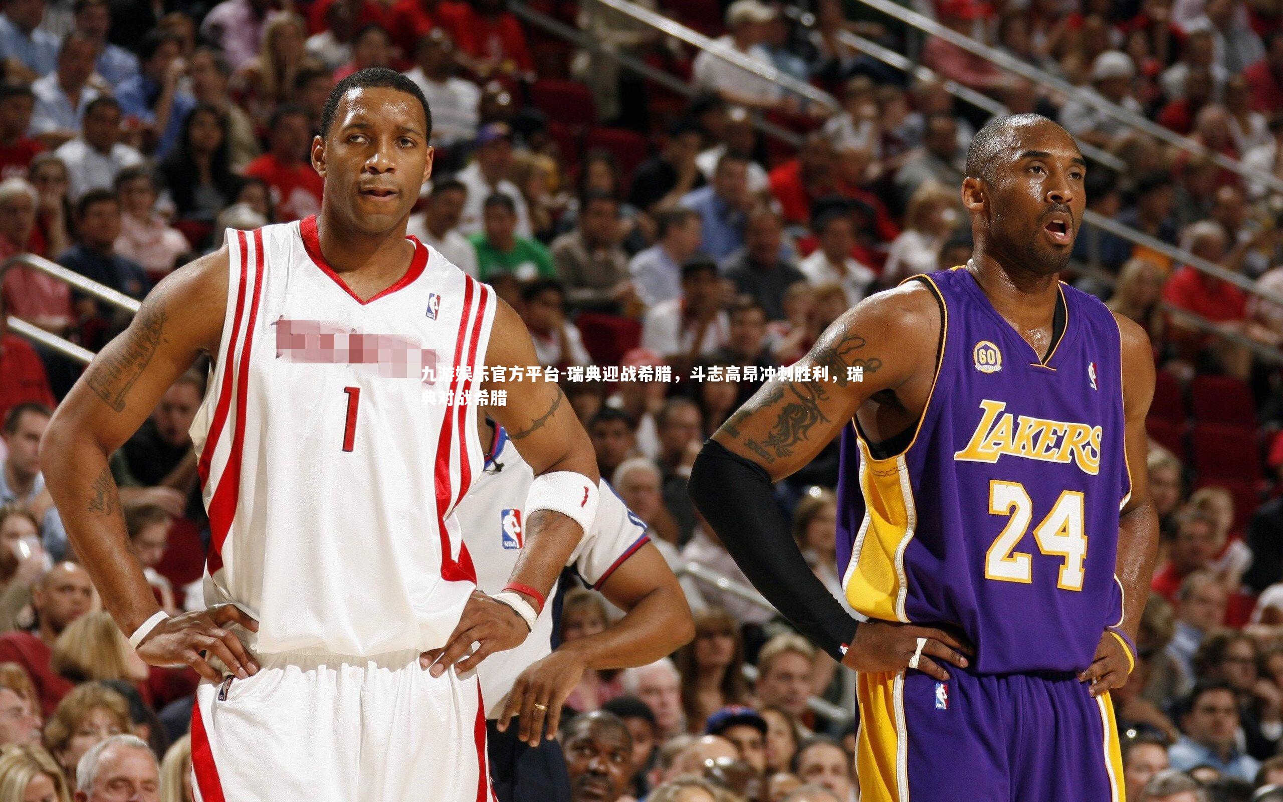 瑞典迎战希腊，斗志高昂冲刺胜利，瑞典对战希腊