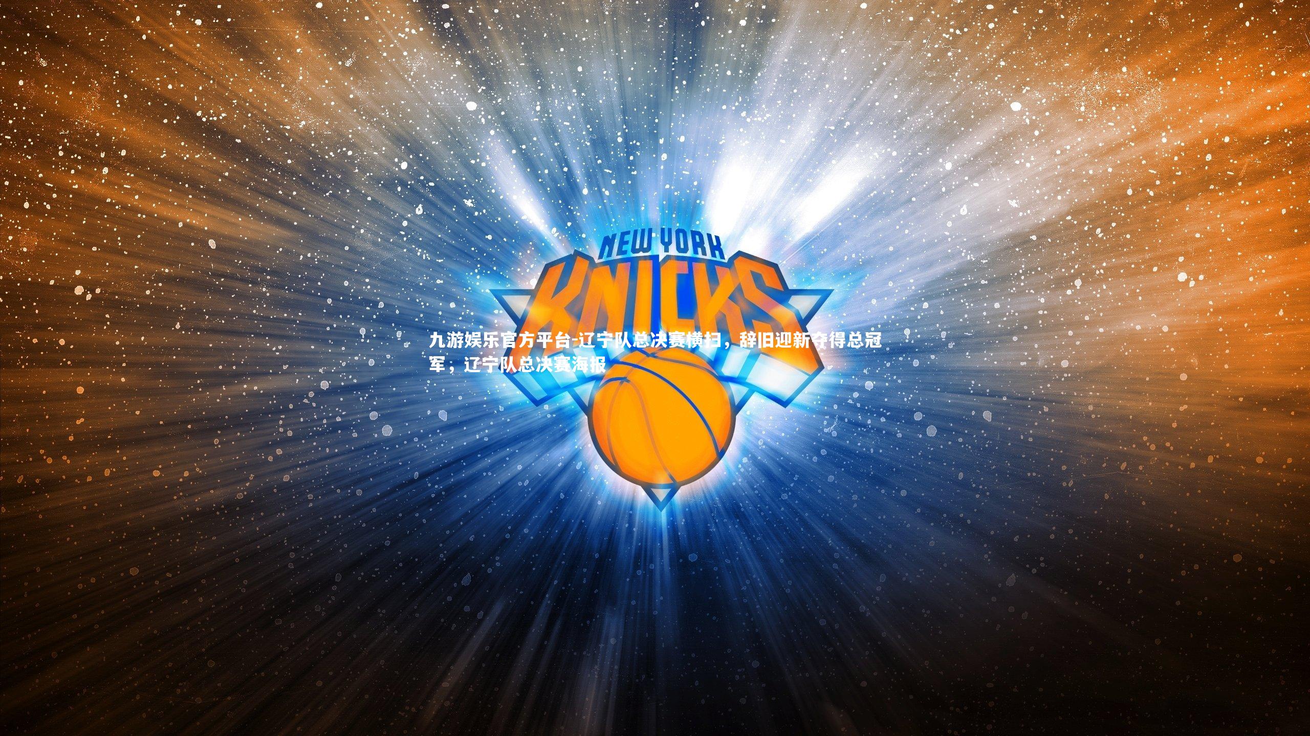 辽宁队总决赛横扫,辞旧迎新夺得总冠军,辽宁队总决赛海报