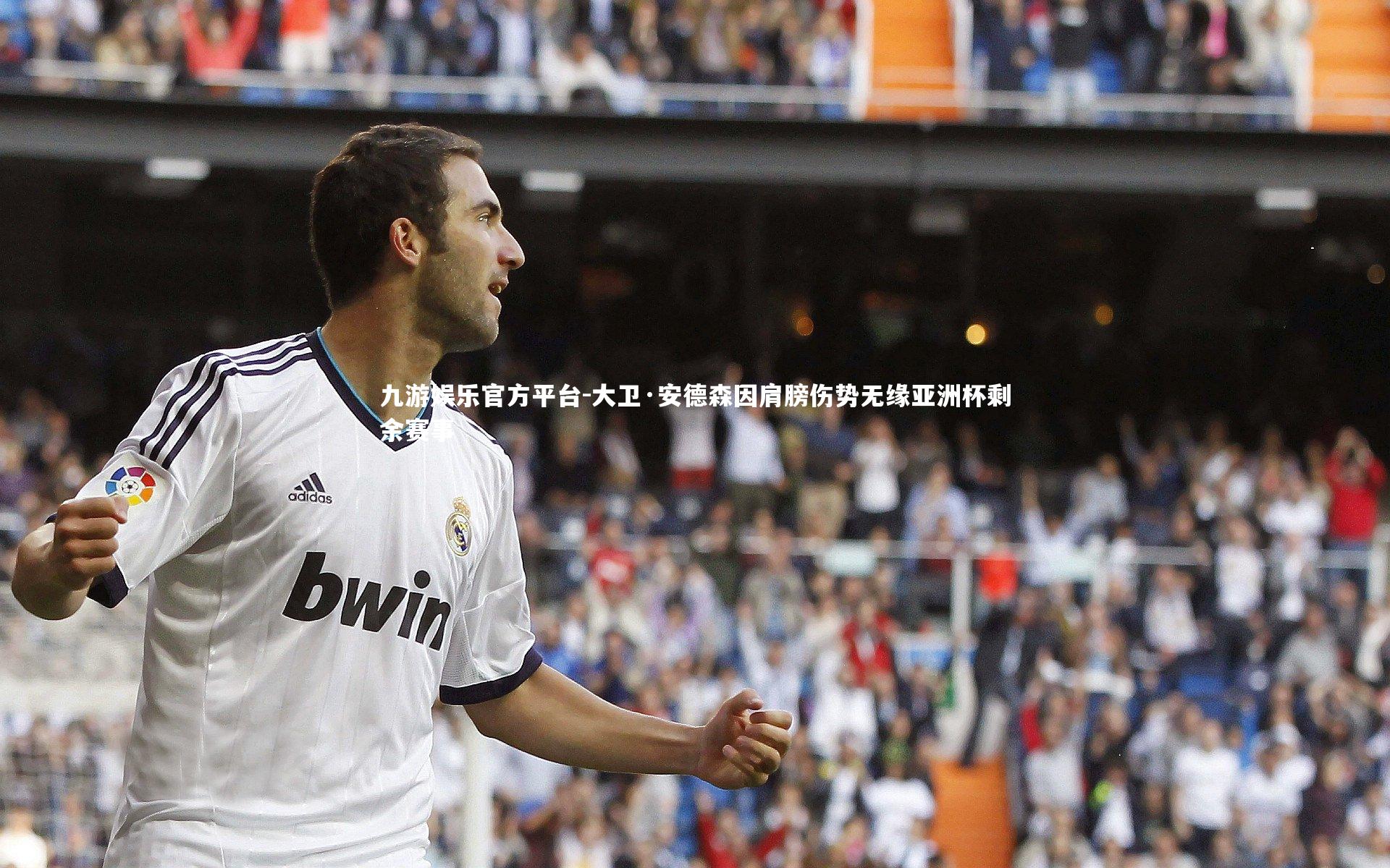 大卫·安德森因肩膀伤势无缘亚洲杯剩余赛事